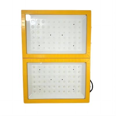 quality  Aluminum 300W LED professional ex lamp die-casting proof + tempered glass NEYSA ATEx CLEx ccc anti Ignition Explosion Proof Flood Light 5 Years Warranty factory