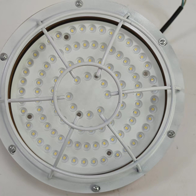 Explosive Chemical Materials Set Explosion Proof Light Led China Wholesale Ip66 100w Container Terminal