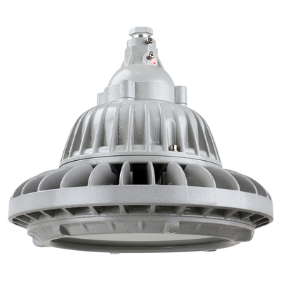 Custom Chemical Industry Gas Station Maintenance Free Explosion Proof Light 100W Ex Proof High Bay Ip66 Led Atex Light