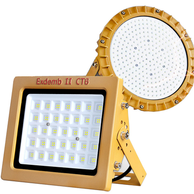 100w 200W Round Reinforced Explosion Proof Fiberglass Cover LED Flood Light Led Canopy Light AC110V 220V