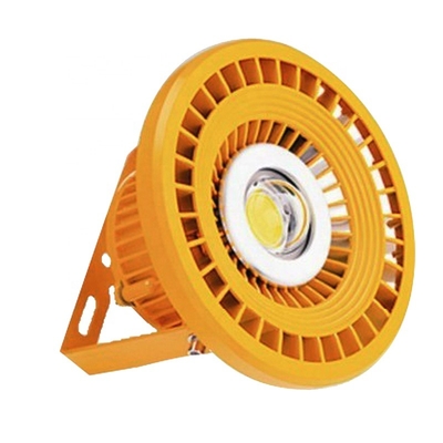 ATEX/IEC Meanwell LANDSCAPE Driver 100w Explosion Proof LED Light